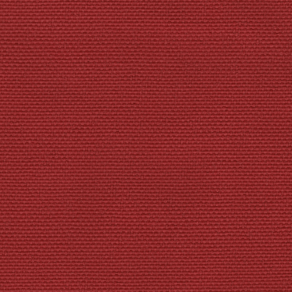 CB Fabric  - (Carpet) - Brightside